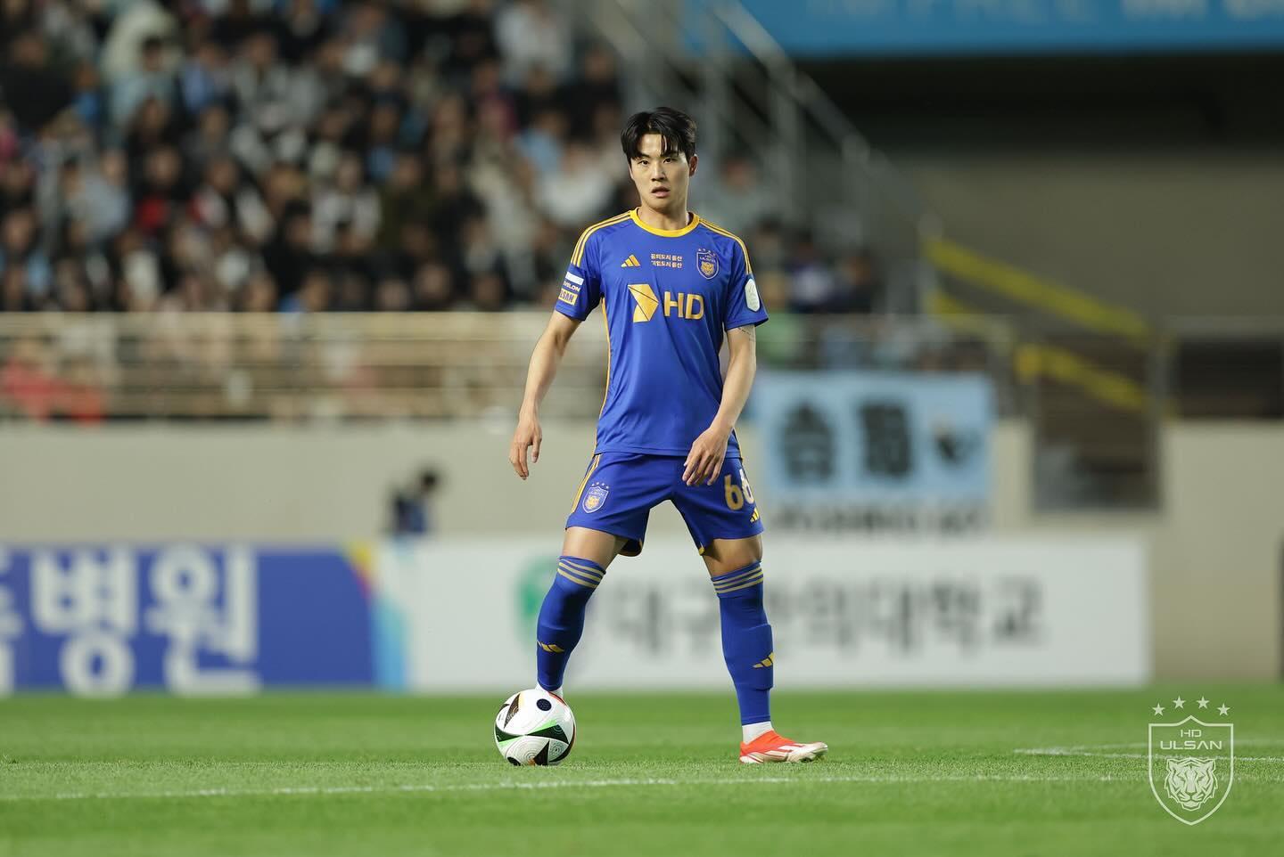 Seol Young-woo : épaule récalcitrante