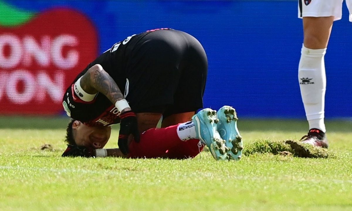 Le syndicat des joueurs monte au créneau contre les pelouses